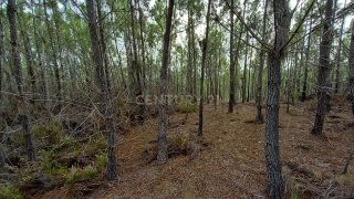 Land for sale in Castelo Branco, Portugal — €6,500