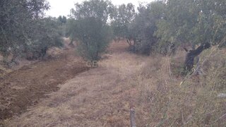 Terreno em Sardoal · 2840 m² · 92 500 €