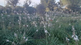 Land for sale in Silves, Portugal — €75,000