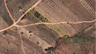 Terreno de 5680 m² em Castelo Branco