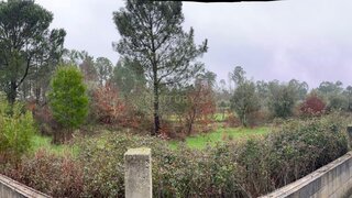Terreno em Viseu · 4123 m² · 128 000 €