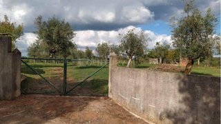 Land for sale in Alvaiázere, Portugal — €45,000