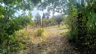 Terreno · 1000 m² · 65 000 €