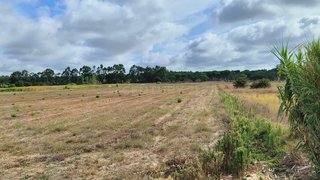 Land for sale in Coruche, Portugal — €55,000