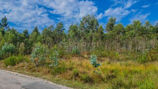 Terreno para venda em Figueira da Foz, Portugal — 12 000 €