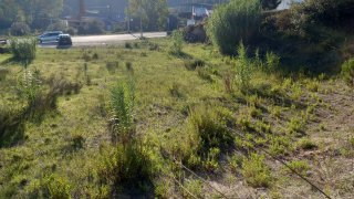 Land for sale in Pombal, Portugal — €61,500