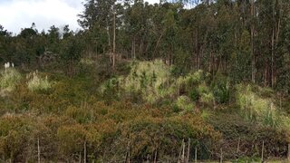 Land for sale in Cadaval, Portugal — €67,000