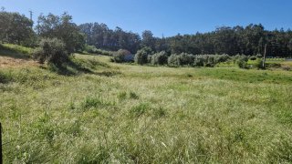 Land for sale in Pombal, Portugal — €33,500