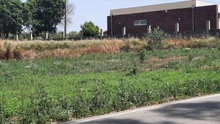 Land for sale in Vagos, Portugal — €44,500