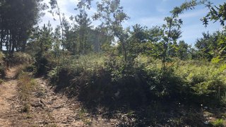 Terreno para venda em Esposende, Portugal — 60 000 €