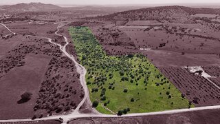 Land for sale in Reguengos de Monsaraz, Portugal — €205,000