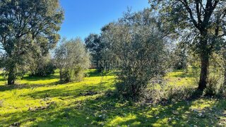 Land for sale in Abrantes, Portugal — €49,000