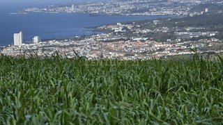Land for sale in Lagoa (Açores), Portugal — €500,000