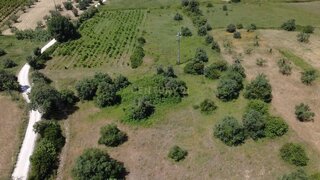 Land for sale in Torres Novas, Portugal — €106,500