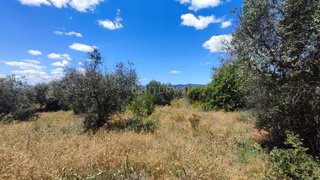Land for sale in Castelo Branco, Portugal — €11,950