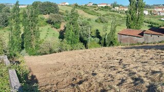 Terreno em Alcobaça