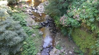 Land for sale in Nordeste, Portugal — €350,000