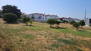 Land for sale in Vila Nova da Barquinha, Portugal — €250,000