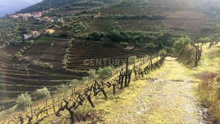 Land for sale in Armamar, Portugal — €180,000