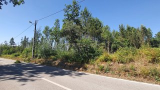 Land for sale in Carregal do Sal, Portugal — €40,000