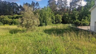 Land for sale in Pombal, Portugal — €35,000