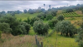 Land for sale in Torres Novas, Portugal — €70,000