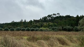 Land for sale in Pombal, Portugal — €21,000