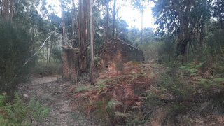 Land for sale in Alvaiázere, Portugal — €30,900