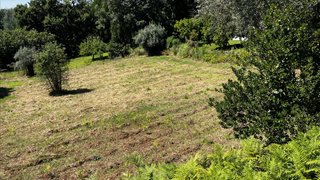 Terreno em Vila Nova de Poiares