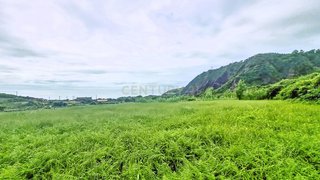 Terreno em Lajes das Flores