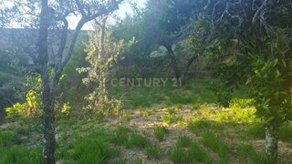 Land for sale in Castelo Branco, Portugal — €7,500