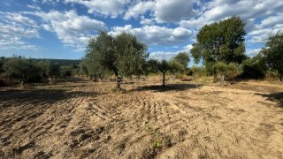 Land for sale in Penamacor, Portugal — €4,900