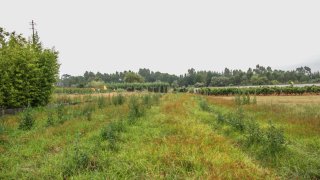 Land for sale in Pombal, Portugal — €52,000