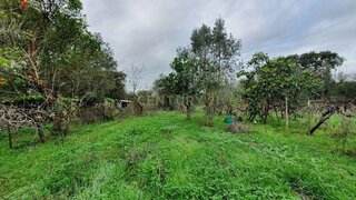Terreno em Guarda · 2300 m² · 25 500 €