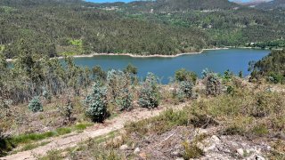 Land for sale in Oliveira de Frades, Portugal — €75,000