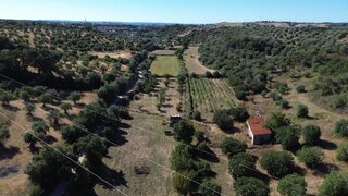 Land for sale in Torres Novas, Portugal — €36,000