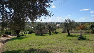 Land for sale in Tomar, Portugal — €35,000