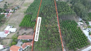 Terreno de 13 730 m² em Leiria