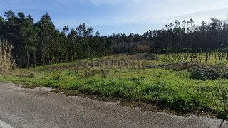 Land for sale in Anadia, Portugal — €9,400