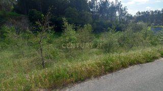 Land for sale in Pombal, Portugal — €24,000