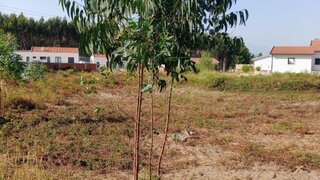 Land for sale in Rio Maior, Portugal — €85,000