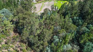 Land · 720 m² · €3,700