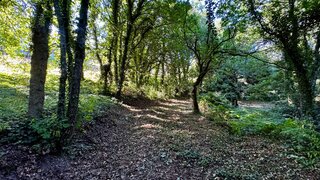 Land for sale in Penafiel, Portugal — €410,000