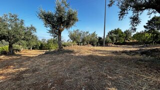 Land for sale in Tomar, Portugal — €35,000