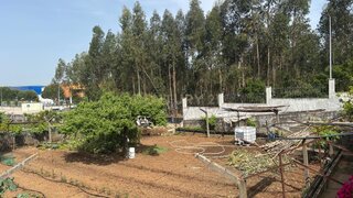 Land for sale in Entroncamento, Portugal — €200,000
