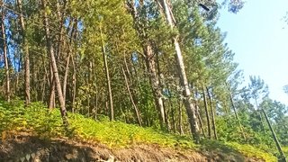 Land for sale in Viseu, Portugal — €55,000