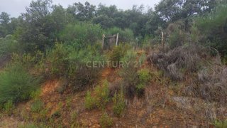 Terreno de 7250 m² em Castelo Branco