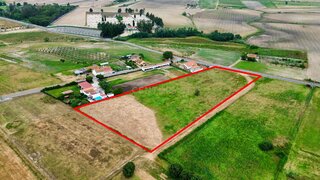 Land for sale in Alpiarça, Portugal — €165,000