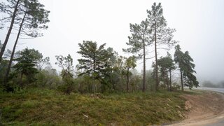 Land for sale in Condeixa-a-Nova, Portugal — €37,000