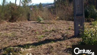 Terreno de 4066 m² em Viseu